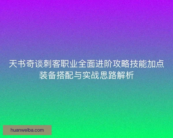天书奇谈刺客职业全面进阶攻略技能加点装备搭配与实战思路解析
